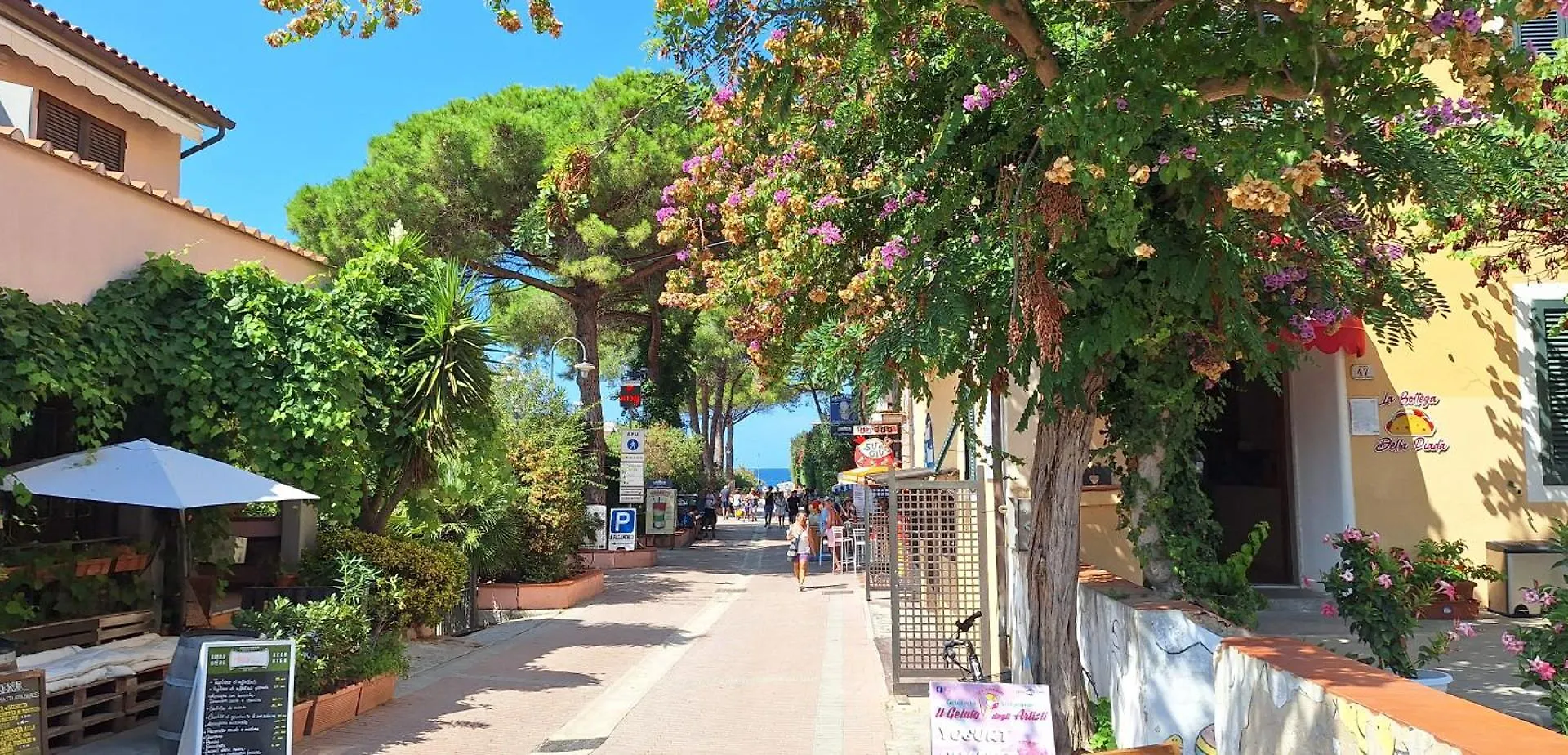 Elba Holidays - Residence Napoleon Procchio  Apartamento
